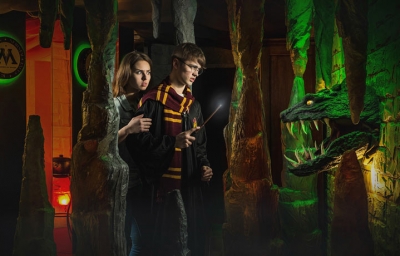 Квест Пророчество Гарри